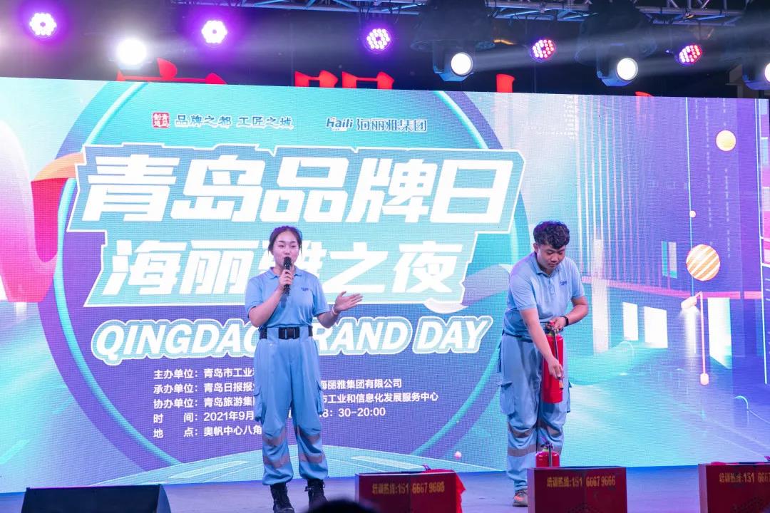 青島海麗雅集團 青島海麗雅集團